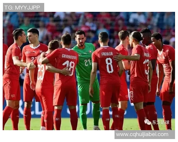 世界杯激战瑞士队中国足球的挑战与机遇分析